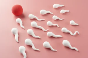 Representação visual de espermatozoides brancos em movimento em direção a um óvulo vermelho, ilustrando o processo de fertilização e a importância da vitalidade para combater alterações na qualidade seminal.