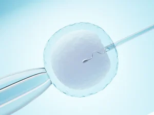 Representação microscópica de um espermatozoide sendo injetado em um óvulo com agulhas finas, ilustrando um procedimento de como funciona inseminação artificial.