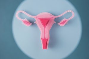 Ilustração do sistema reprodutor feminino com as tubas uterinas, útero e ovário.