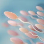 Representação de espermatozoides, ilustrando a fragmentação do DNA espermático na fertilidade masculina.