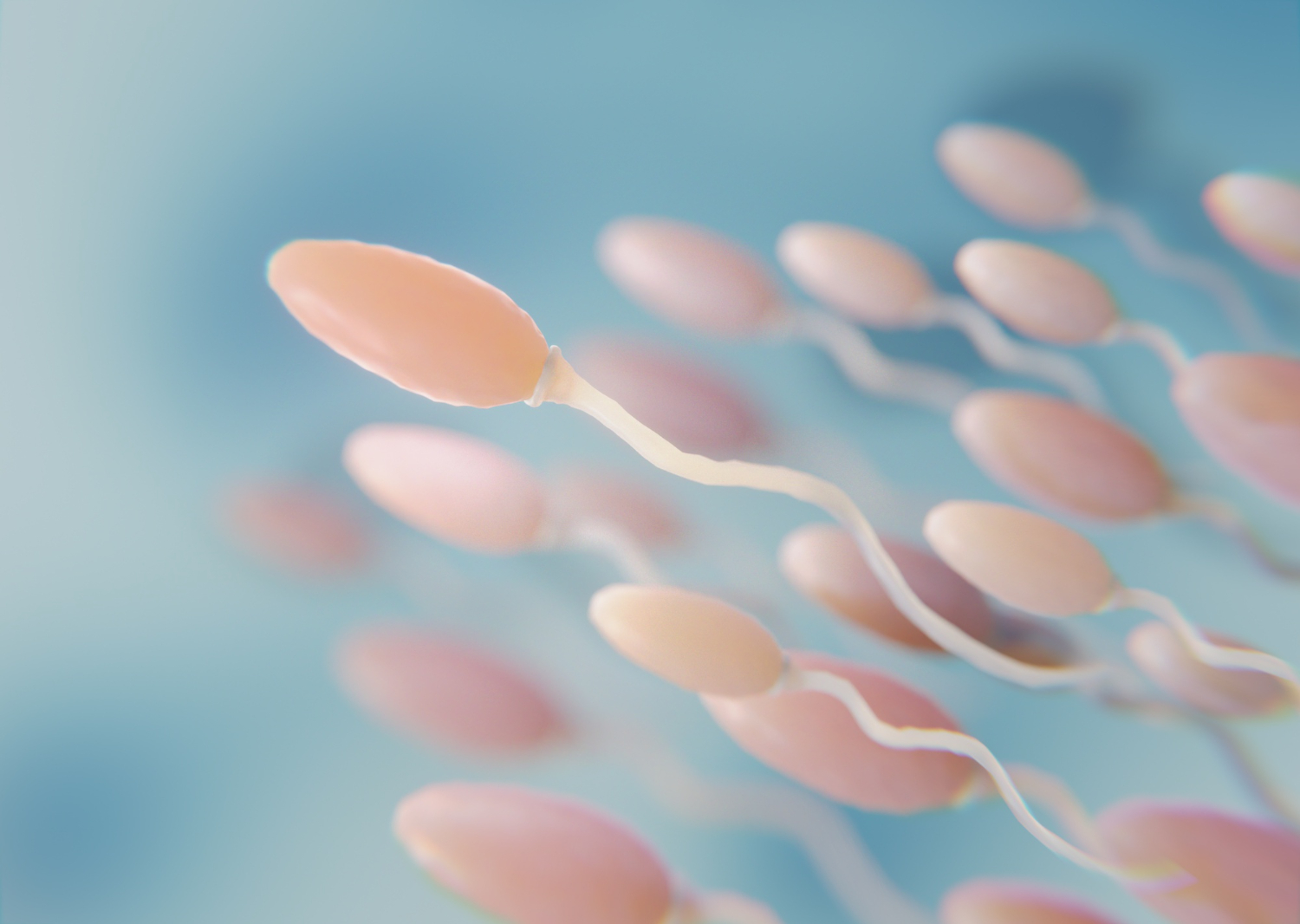Representação de espermatozoides, ilustrando a fragmentação do DNA espermático na fertilidade masculina.