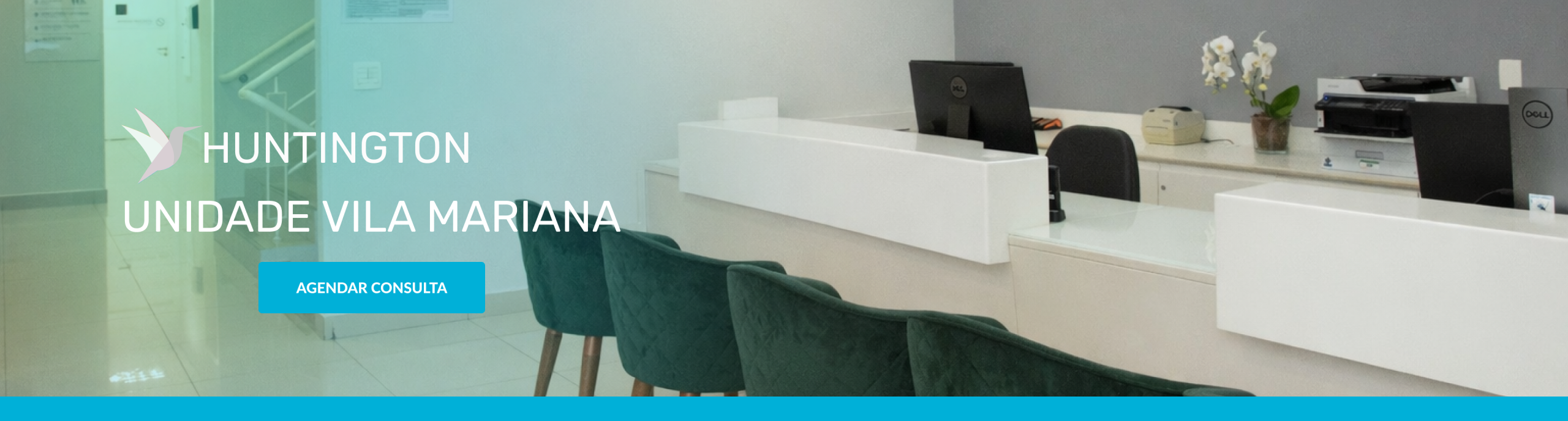 Banner Vila Mariana