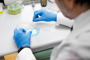 Embriologista avaliando a possibilidade de FIV com embriões congelados para a paciente de reprodução assistida