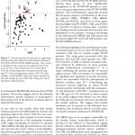 The insulin signaling pathway is dysregulated in cumulus cells f