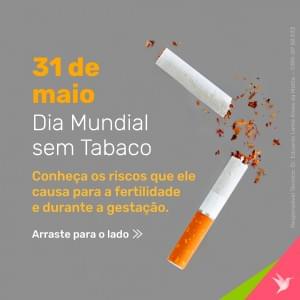 tabaco 1