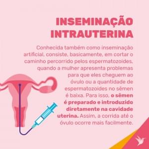 inseminação 1