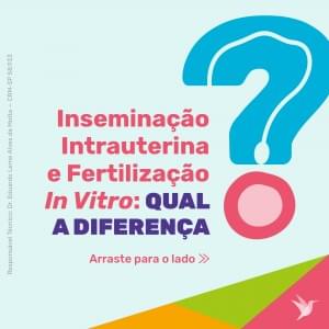 inseminação